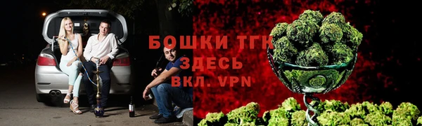 прущие грибы Абдулино