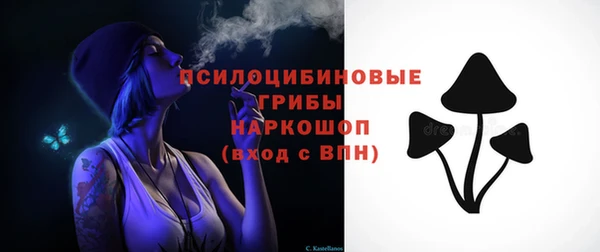 ПСИЛОЦИБИНОВЫЕ ГРИБЫ Алексеевка