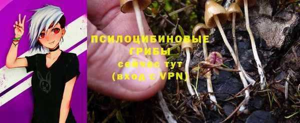 прущие грибы Абдулино