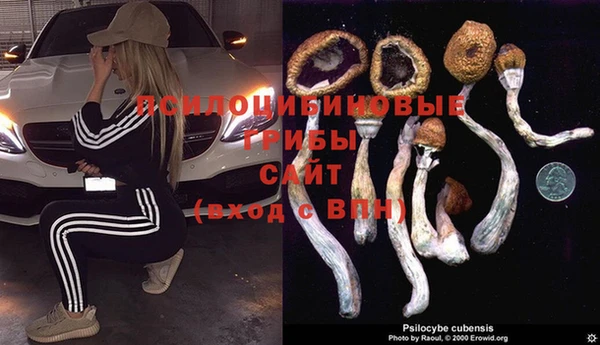 не бодяженный Алексин