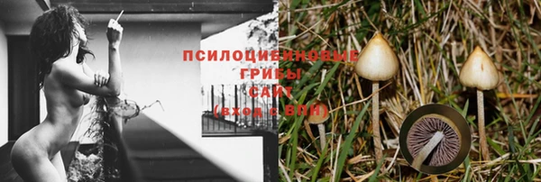 не бодяженный Алексин