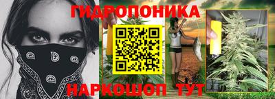 прущие крисы Обь