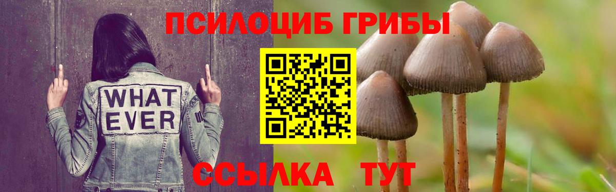 Арсеньев  Галлюциногенные грибы Cubensis  Вход с VPN  Галлюциногенные грибы MAGIC MUSHROOMS 